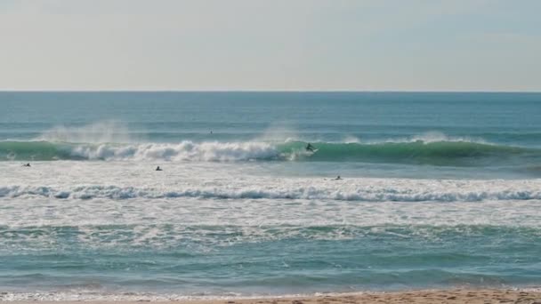晴れた日に大西洋の海岸近くの波を引く人々 冒険のライフスタイルをサーフィン スローモーション Bmpcc — ストック動画