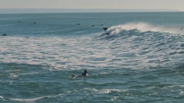Surfers Vangen Atlantische Oceaan Golven Een Mooie Zonnige Dag Surfen — Stockvideo