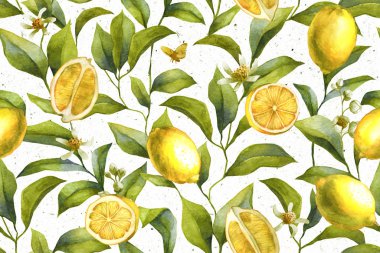 Suluboya el, yapraklar ve meyvelerle dikişsiz desen çizmiş. Turunçgil meyvesi. Limon arka planı. Çiçek duvar kağıdı.