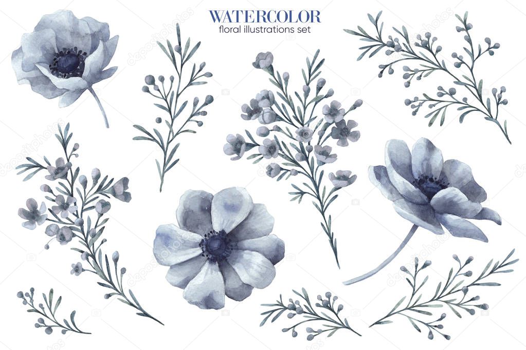 Floral set. Botanical illustrations. Watercolor flowers.