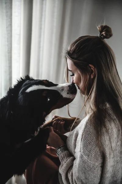 Mujer joven con Bernese Mountain Dog — Foto de Stock