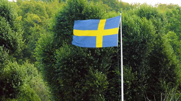 Swedish Flag Natural Background Trees Sweden — Stock Photo, Image