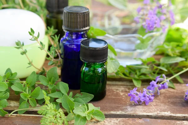 Óleos essenciais e cosméticos naturais com ervas verdes — Fotografia de Stock