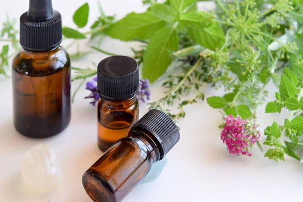Essential oils with herbs Royalty Free Stock Photos