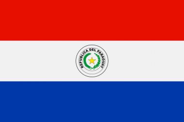 Sijsparaguay Cumhuriyeti bayrağı