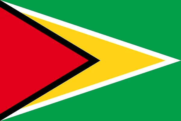 Vlag van Guyana — Stockvector