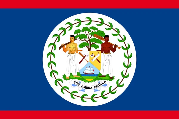 Flag of Belize — Stock Vector