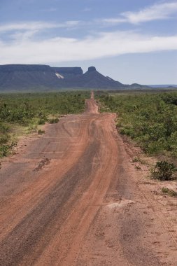 Tocantins 'deki Jalapo çölünde Brezilya kırsal yolu.