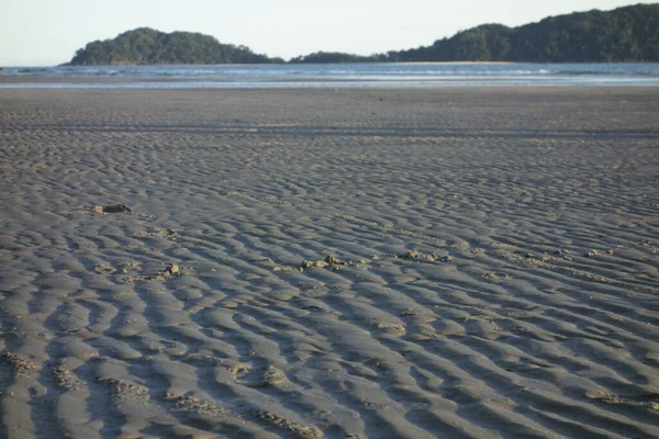 Sandy beach closeup scenario at sundown — 스톡 사진