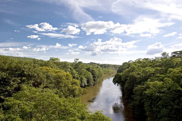 Fiume Nel Deserto Brasiliano Del Jalapo Nello Stato Tocantins Immagine Stock