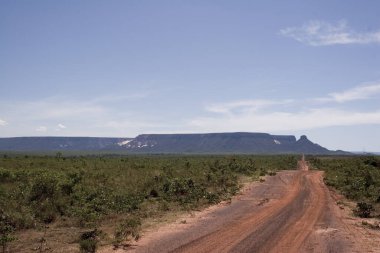 Tocantins 'deki Jalapo çölünde Brezilya kırsal yolu.