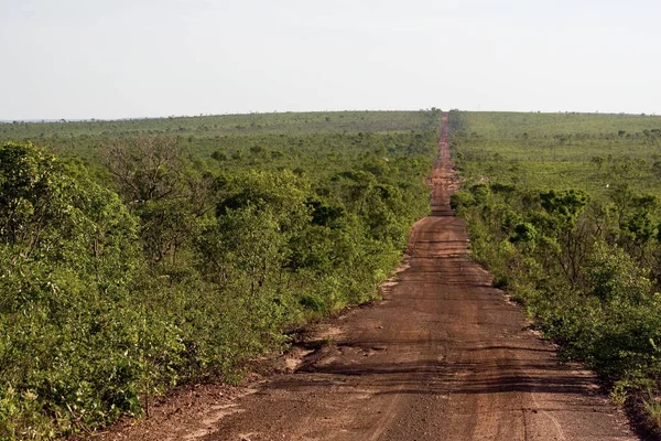 Camino Rural Brasileño Desierto Jalapo Estado Tocantins — Foto de Stock