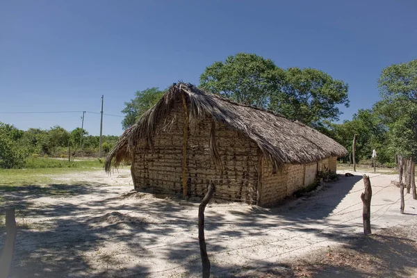 Casas Rurales Brasileñas Desierto Jalapo Estado Tocantins Concepto Viaje — Foto de Stock