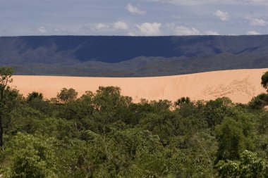 Tocantins State 'de Brezilya Jalapo Çölü