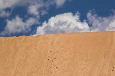 Tocantins State 'de Brezilya Jalapo Çölü