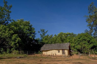 Tocantins State 'teki Jalapo çölündeki Brezilya kırsal evleri, seyahat konsepti
