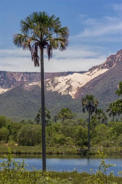 Tocantins State 'de Brezilya Jalapo Çölü