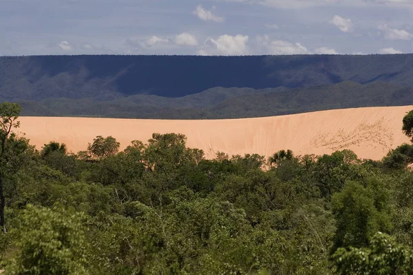 Tocantins State 'de Brezilya Jalapo Çölü