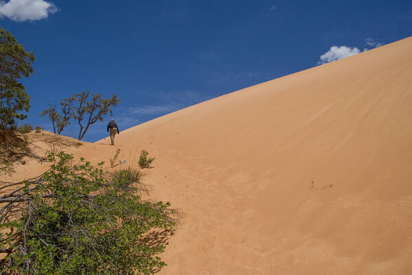 Brazilian Jalapo desert at Tocantins State