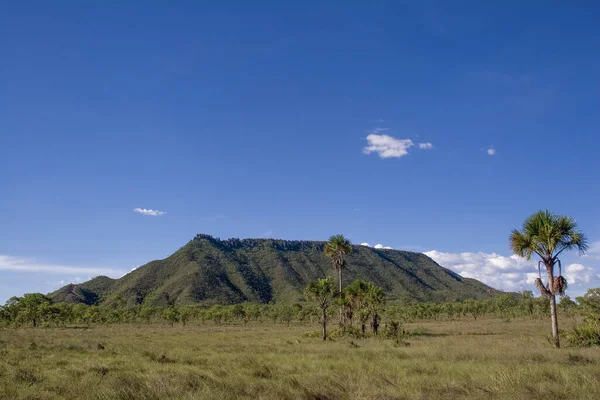 Deserto Brasiliano Jalapo Nello Stato Tocantins — Foto Stock