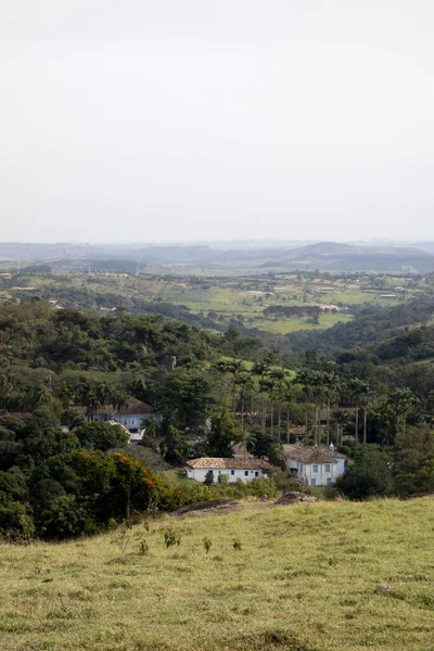 Campinas Brasil Agosto 2019 Finca Brasileña Café Joaquim Egydio — Foto de Stock