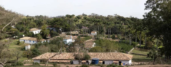 Fazenda brasileira de café — Fotografia de Stock