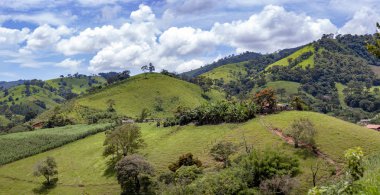 Gonçalves, Minas Gerais 'de panoramik orman manzaraları