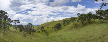 Gonçalves, Minas Gerais 'deki tropik orman manzarası