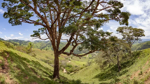 Paesaggi forestali panoramici a Gonascar alves, Minas Gerais — Foto Stock