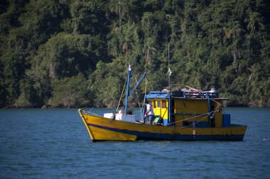 Mavi deniz ve yeşil ormanla çelişen çok renkli bir balıkçı teknesi.