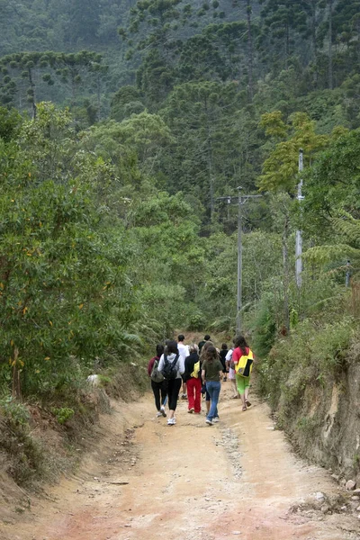 Grupo Amigos Caminando Por Sendero — Foto de Stock