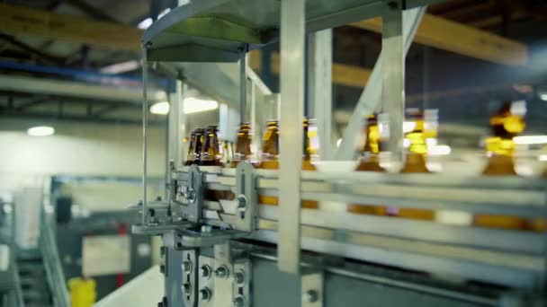 啤酒空琥珀玻璃瓶在传送带上移动 慢动作 — 图库视频影像