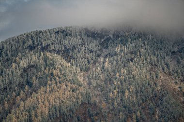 Sonbahar karlı dağlarda