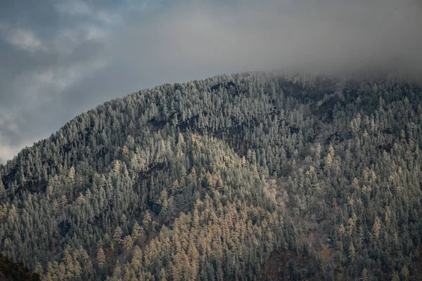 Automne Flanc Montagne Dans Neige — Photo