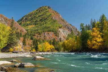 Dağ sonbahar manzarası ve nehir