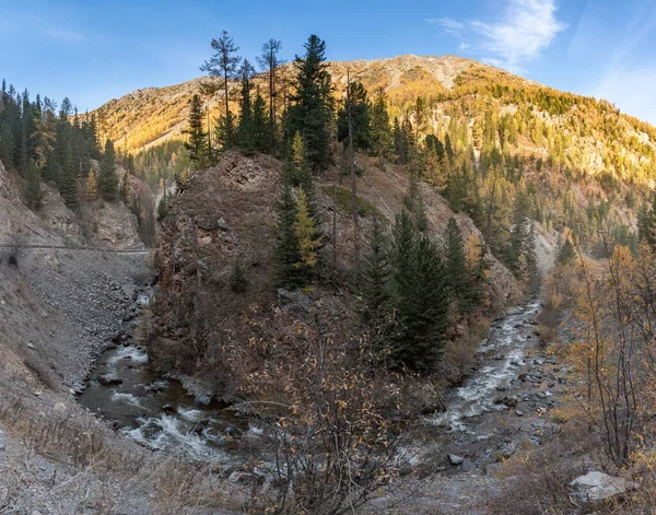 Montagna Autunno Paesaggio Fiume — Foto Stock