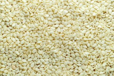 Susam tohumlarını yakından çek. Yukarıdan görüntüle.