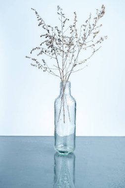 Yıllık solmuş otlar cam şeffaf bir şişede, arka planda çiy damlalarıyla birlikte..