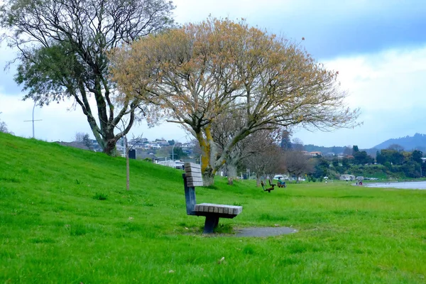 Ekim 'de ağaçların yaprakları sararır..