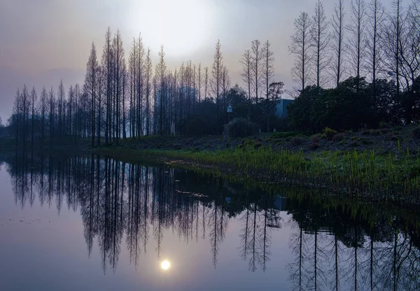 Mart ayında, Şangay hou tan parkı, gün batımı yaklaşıyor, ağaçlar ve göl yansıması yaptı..