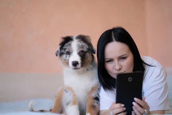 Siyah saçlı genç bir kadın, yatağa uzanmış ve video bağlantısıyla tablete bakıyor, yanında bir köpek oturuyor ve bakıyor. Karantina, evde kal.