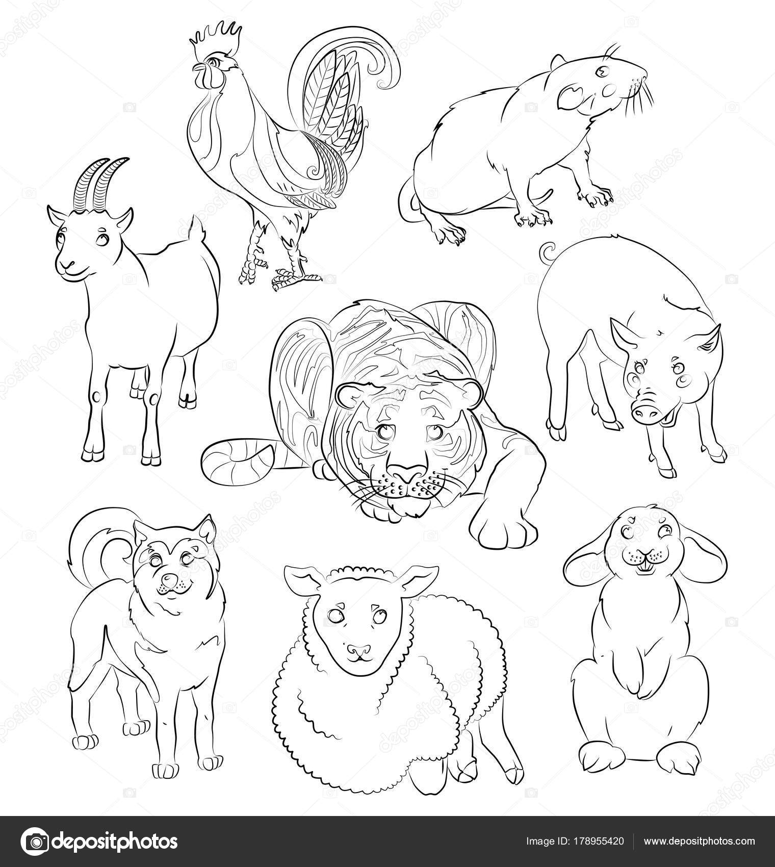 Immagine di un cane gallo capra maiale pecora tigre topo e coniglio adatto per un bambino da colorare e non solo Per la vostra odit 