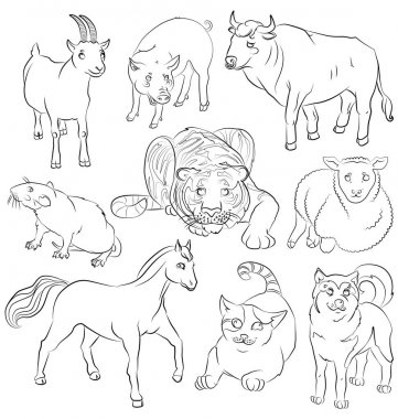 Bull-Cat-Dog-Goat-Horse-Pig-Rat-Sheep-Tiger