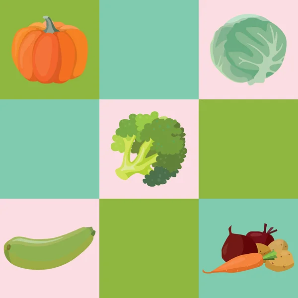 Gemüse: Kürbis, Kohl, Brokkoli, Zucchini, Rüben, Karotten — Stockvektor