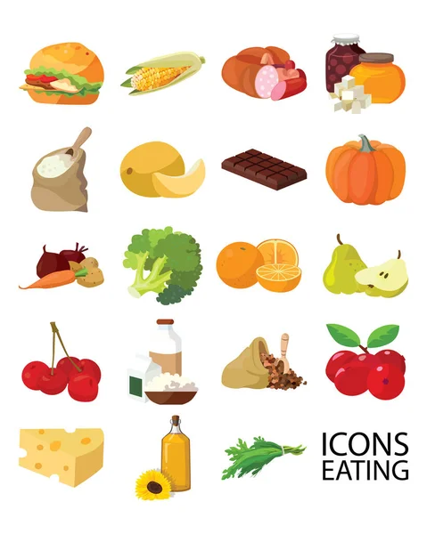 Fruits, vegetables, fats, meat, cereals, dairy products — ストックベクタ