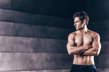 İri kaslı, güzel, güçlü genç bir adam. Telif alanı olan karanlık stüdyoda vücut geliştirici.