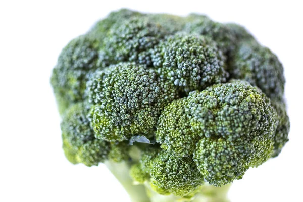 Broccoli Close Healthy Food — Stock Photo, Image