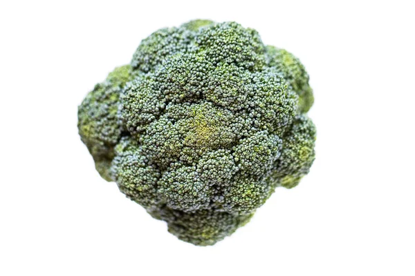 Raw Broccoli Isolated White Background — Stock Photo, Image