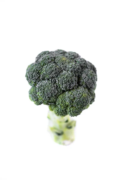 Broccoli Geïsoleerd Witte Achtergrond — Stockfoto