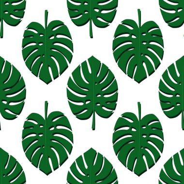 Tropikal monstera Dikişsiz desen beyaz zemin üzerine bırakır..